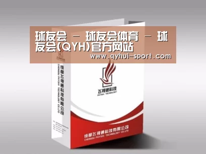 项目名称十三