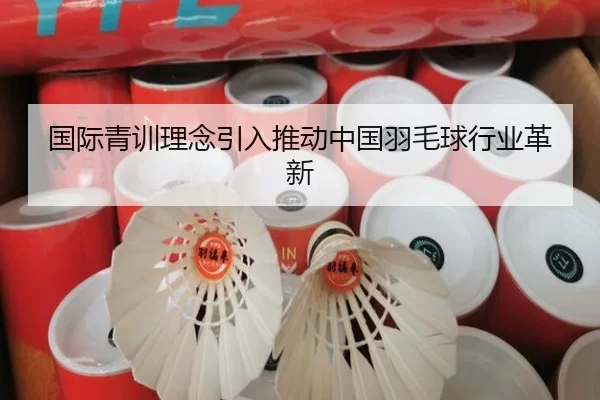 国际青训理念引入推动中国羽毛球行业革新